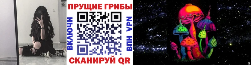 цены наркотик Норильск ОМГ ОМГ зеркало Галлюциногенные грибы Psilocybine cubensis