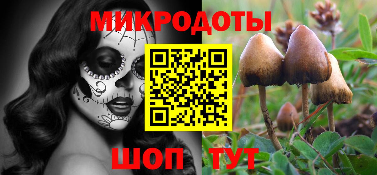 Норильск  купить наркотики цена  Вход с VPN  Галлюциногенные грибы прущие грибы 